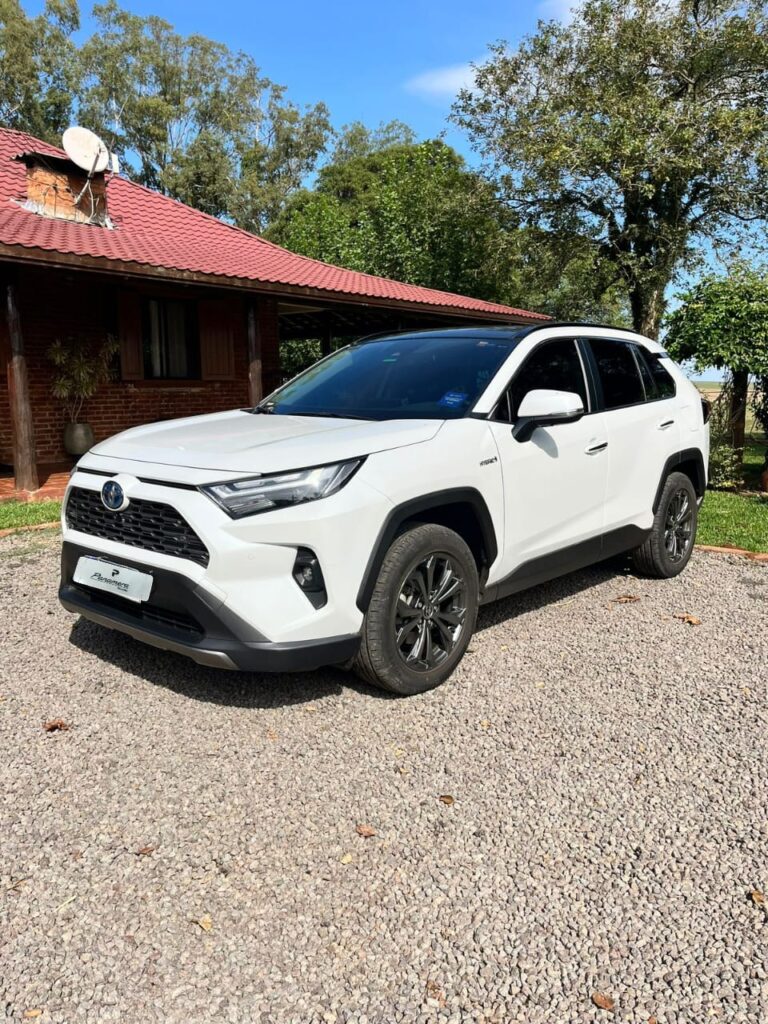 TOYOTA RAV4H SX