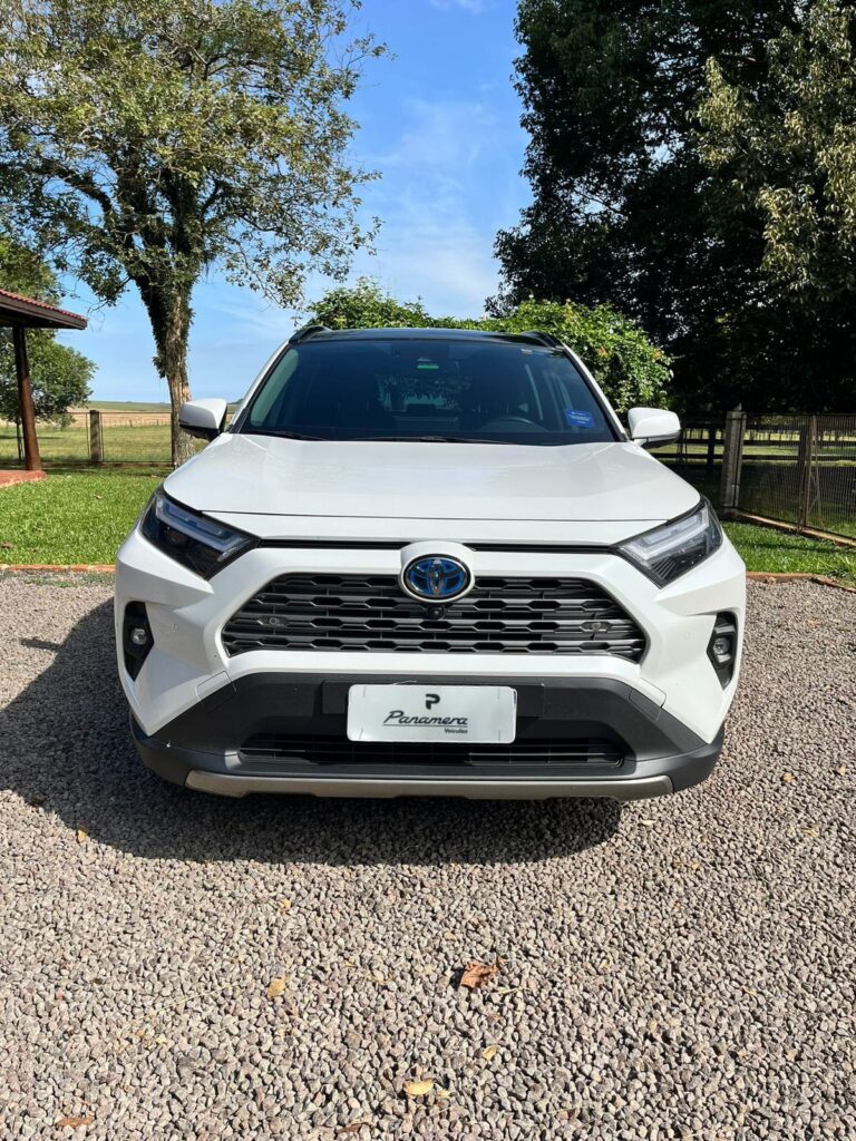 TOYOTA RAV4H SX