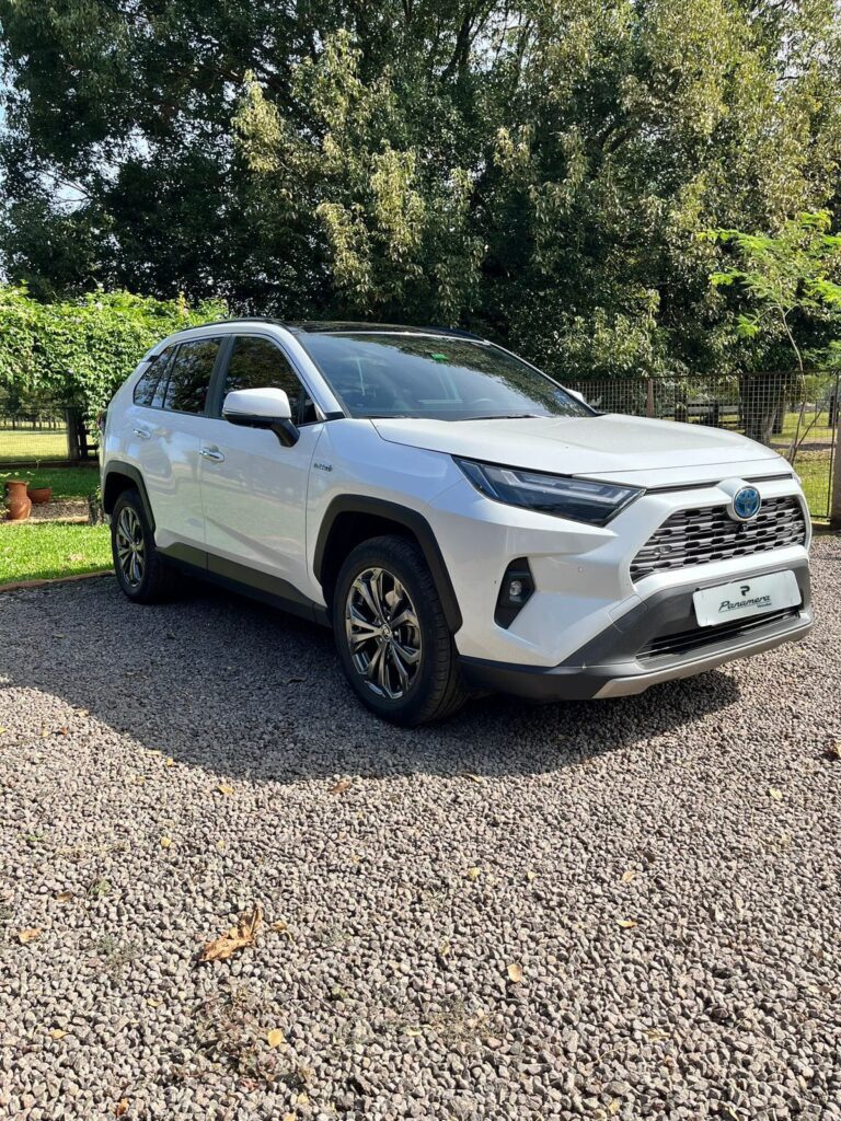 TOYOTA RAV4H SX
